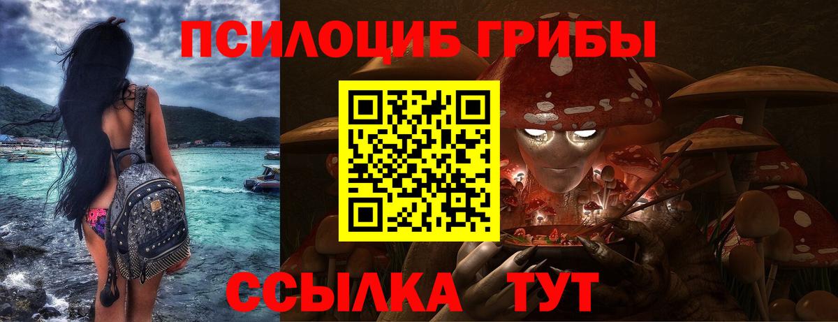Котовск  Галлюциногенные грибы прущие грибы  Псилоцибиновые грибы мухоморы  Вход с VPN 